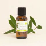 Huile essentielle Eucalyptus globulus BIO