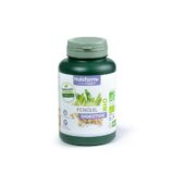 Fenouil Bio