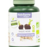 Radis noir bio