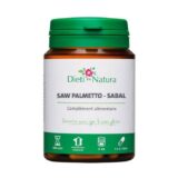 Saw Palmetto - Sabal