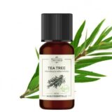 Huile essentielle de tea tree bio
