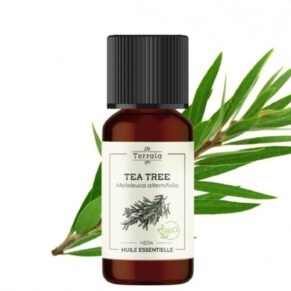 Huile essentielle de tea tree bio