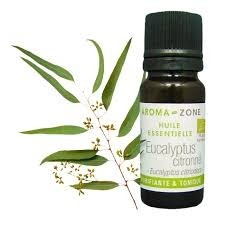 Huile essentielle Eucalyptus citronné BIO